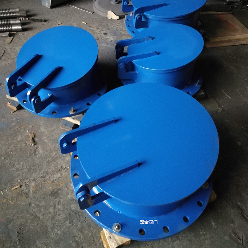 1631340737334746.jpg 浮箱式拍门20190831.jpg